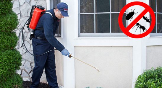 Gökçeada Dezenfeksiyon böcek ilaçlama ve haşere kontrolü — ilaclama-tr.com